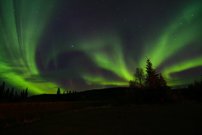 Northern Lights and Chena Hot Springs Night Tour from Fairbanks - The Ice Museum and its cold-room novelty