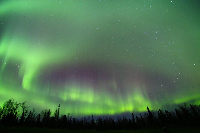 Northern Lights and Chena Hot Springs Night Tour from Fairbanks - Soaking in the rock lake pool