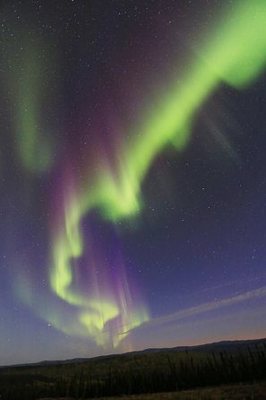 Northern Lights and Chena Hot Springs Night Tour from Fairbanks - Watching for the Northern Lights