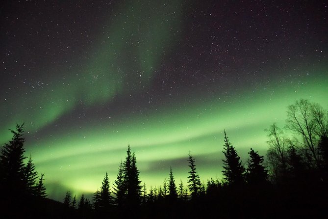 Northern Lights & Arctic Circle Tour - The return drive is the aurora portion