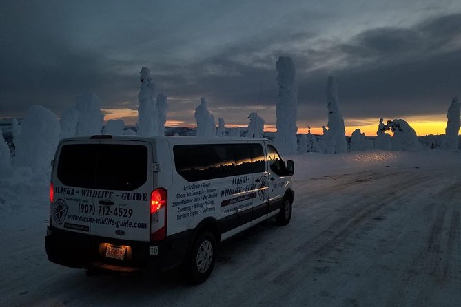 Northern Lights & Arctic Circle Tour - Guides, safety, and the human side of the ride