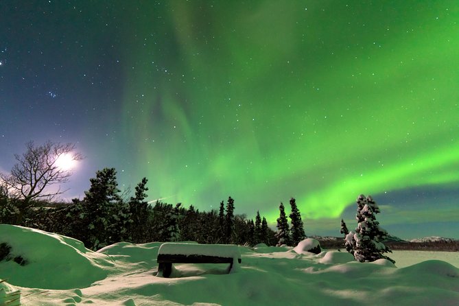 Northern Lights & Arctic Circle Tour - The 2pm departure and first Fairbanks stops