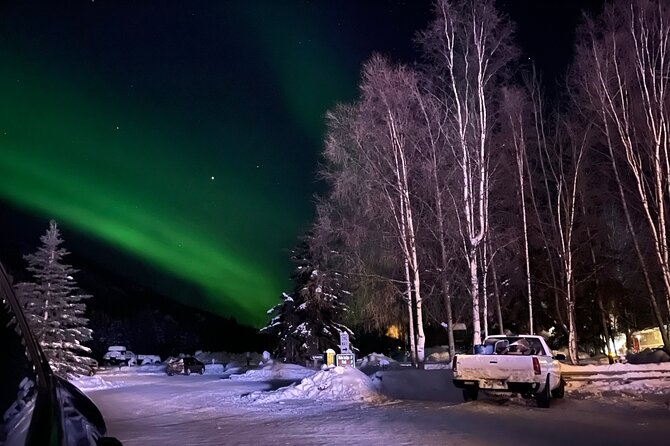 Northern Lights at Chena Hot Springs - Who will enjoy this evening most