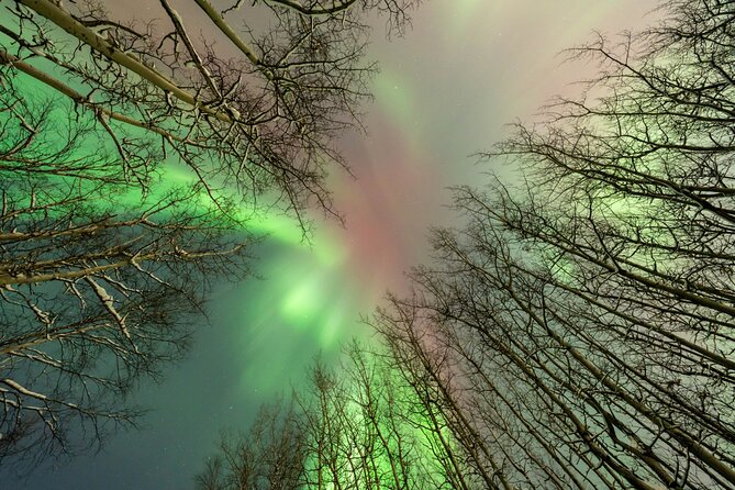 Northern Lights Aurora Chasing Adventure Tour & Free Photography - Booking timing and cancellation rules