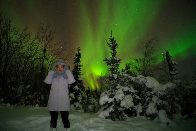 Northern Lights Aurora Tour with FREE Photography - The free photography is more useful than a simple bonus