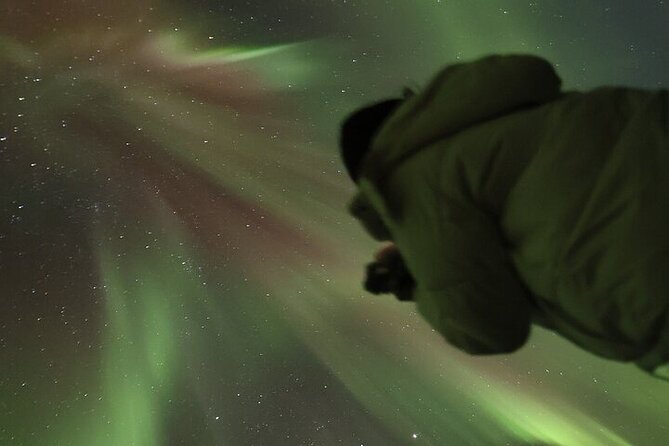 Northern Lights Aurora Tour with Photography - Early August timing needs special attention