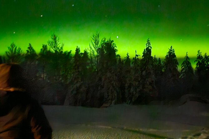 Northern Lights Auroras from Kemi-Tornio with Pickup - Transport adds real value at $118.63