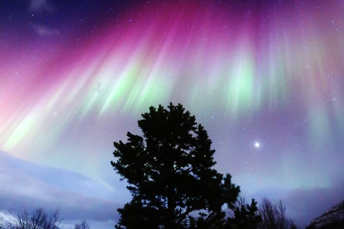 Northern Lights Big Bus Chase with Free Photos - Chasing clear skies beyond Tromso