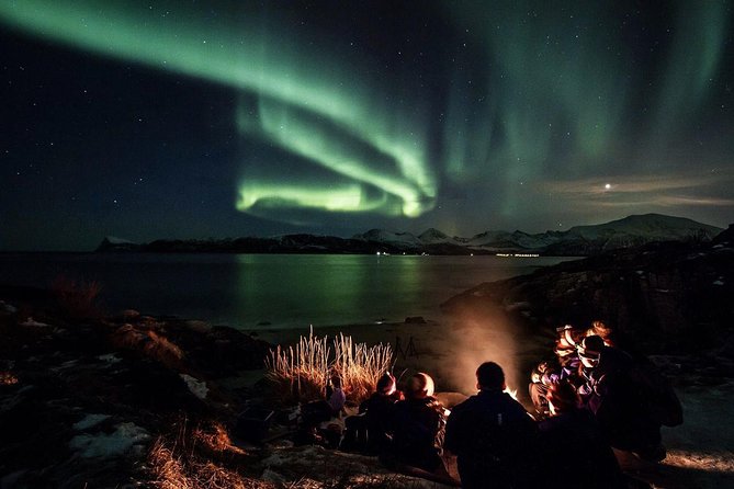 Northern Lights Big Bus Chase with Free Photos - What the long Arctic night feels like