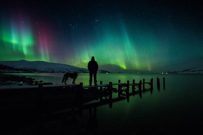 Northern Lights Big Bus Chase with Free Photos - Is $118.77 a fair price?