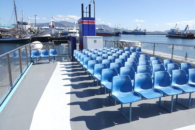 Northern Lights Boat Cruise from Reykjavik - Searching the sky from the open deck