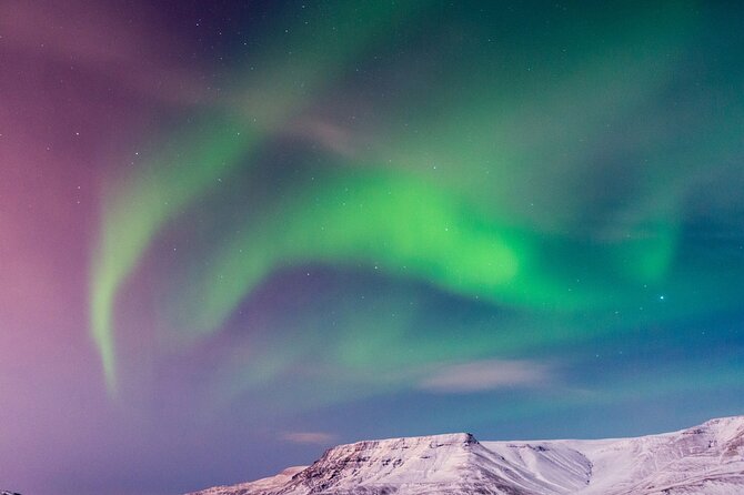Northern Lights Boat Cruise from Reykjavik - The free return policy needs careful planning