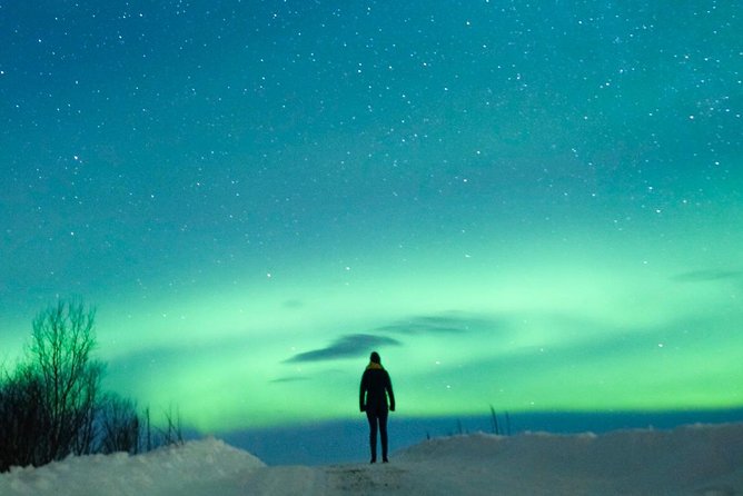 Northern Lights Bus Tour from Reykjavik with Hot Chocolate - Who should book this bus tour?