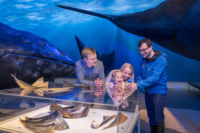Northern Lights by Boat with a Backup Plan from Reykjavik - The free return ticket and what it really means