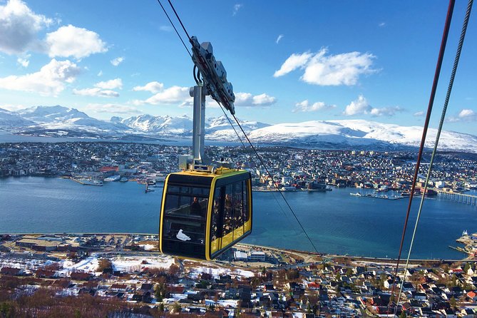 Northern lights cable car excursion - Key points to know before booking
