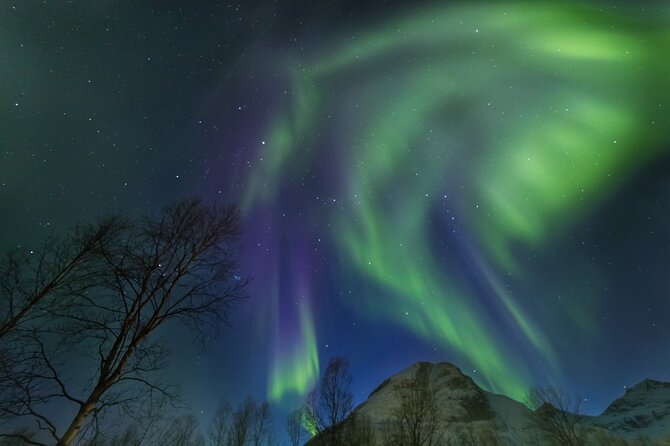 Northern Lights Chase by Bus in Tromso - Standing outside in Tromsø winter