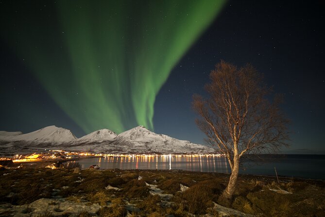 Northern Lights Chase by Bus in Tromso - A large bus or a small-group tour?