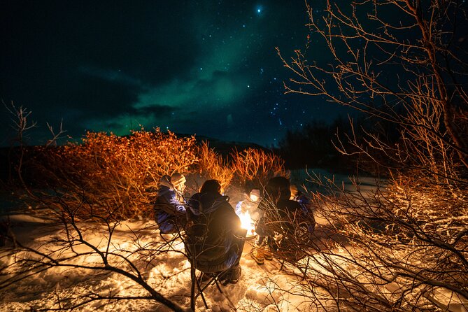 Northern Lights Chase - Small group experience - Sami stories and the human side of the aurora