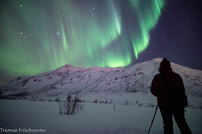 Northern Lights Chase with Authentic North Norwegian Charm - The aurora lesson adds context