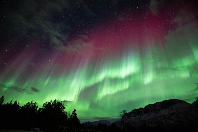 Northern Lights Chase with Authentic North Norwegian Charm - Camera help and personal photos
