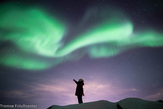 Northern Lights Chase with Authentic North Norwegian Charm - Who should book this aurora chase