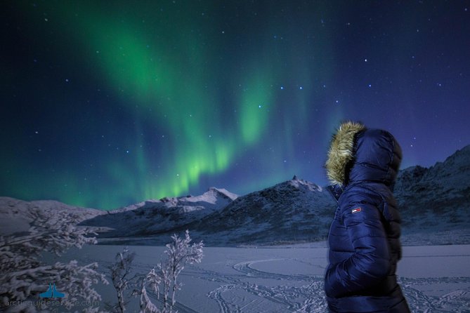 - Northern Lights Chase with Photo Package Included - The Tromsø meeting point and departure