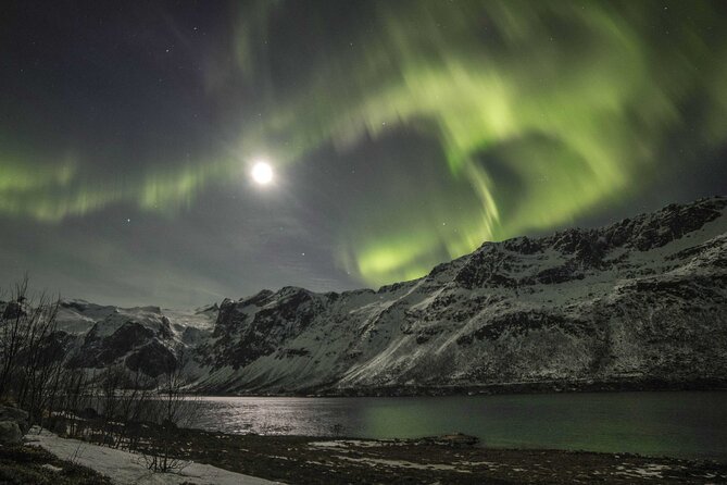 Northern Lights Chase with Photography from Tromsø - What happens if you do not see the lights