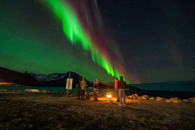 Northern Lights Chase with Sámi & local storytelling - Key points at a glance
