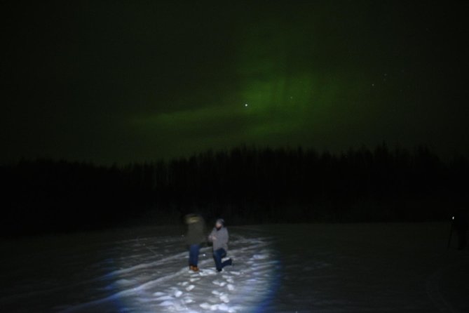 Northern Lights & Chena Hot Springs Tour - Key points before you book