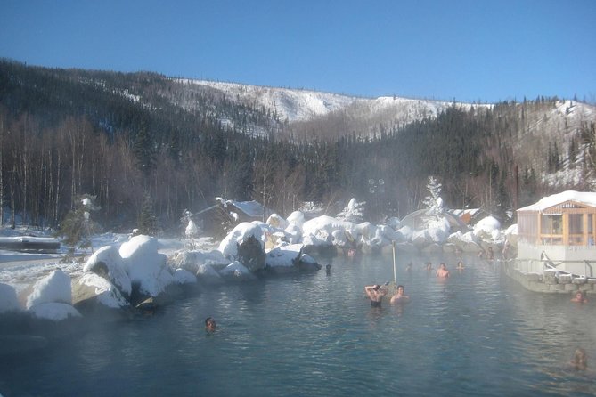 Northern Lights & Chena Hot Springs Tour - Dinner at Chena Hot Springs