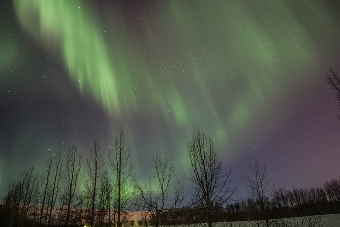 Northern Lights Classic MiniBus Tour from Akureyri - Who should book this Akureyri tour?