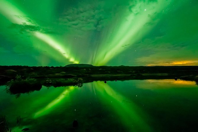 Northern Lights Cruise from Reykjavik - Key points to know before booking