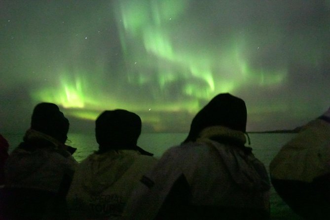 Northern Lights Cruise from Reykjavik Including Photos - Booking advice for weather and timing