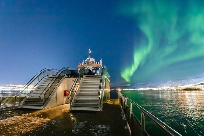 Northern Lights Cruise in Bodø - Key points before you book