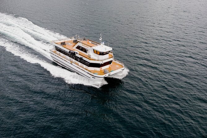 Northern Lights Cruise in Bodø - How the three-hour search works