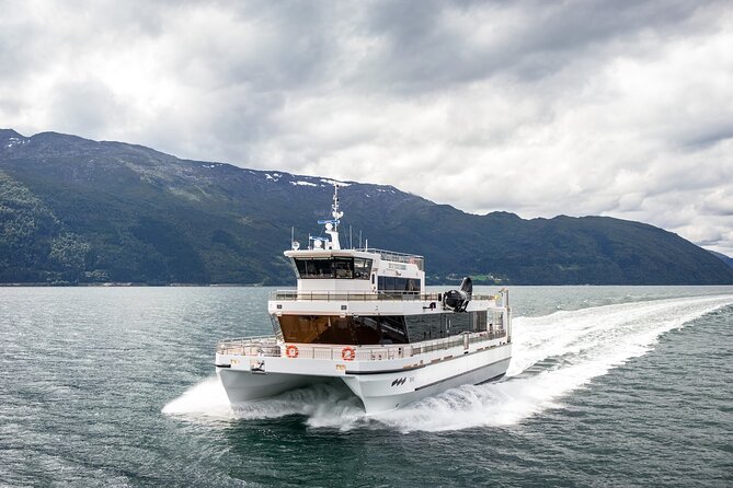 Northern Lights Cruise in Bodø - Watching from outside, warming up inside