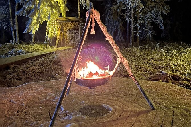 Northern Lights dinner in a Glass Igloo - Who should book this experience