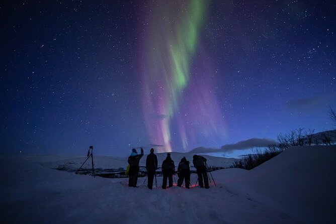 Northern Lights Expedition Tromsø - 6 people - Arctic Photo Guide - Who will enjoy this Tromsø night most?