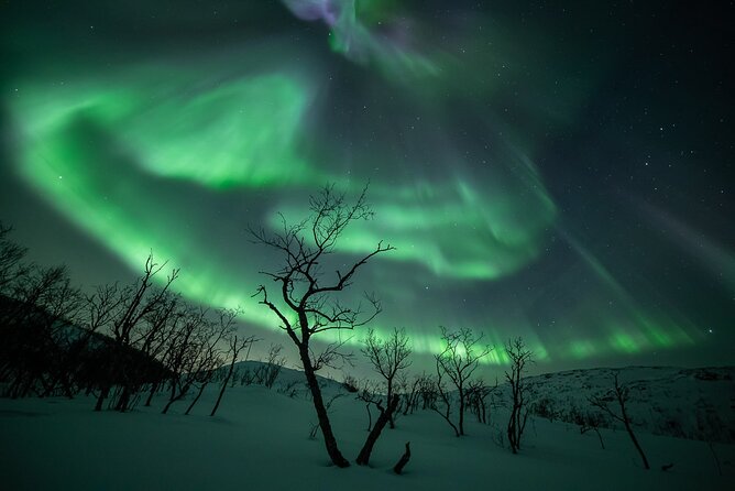 Northern Lights Expedition Tromsø - 6 people - Arctic Photo Guide - Warm clothing, soup, and what you still need