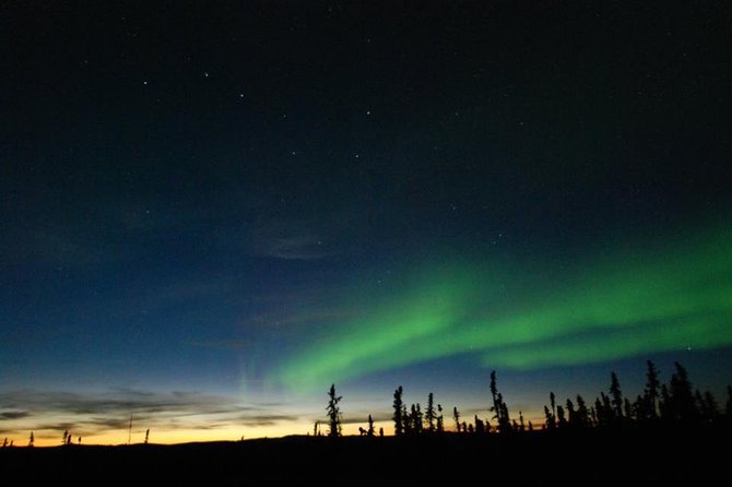 Northern Lights Experience and Cabin Dinner - Key points to know before booking