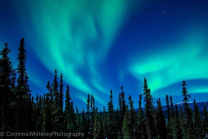 Northern Lights Experience and Cabin Dinner - A late-night route from Fairbanks to the yurt