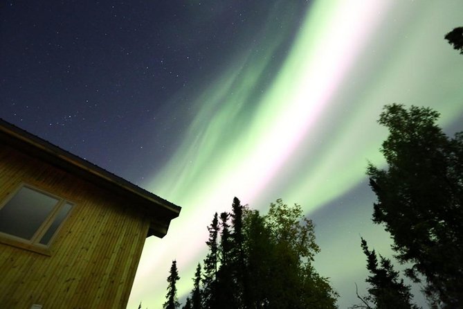 Northern Lights Experience and Cabin Dinner - Who will enjoy this five-hour night