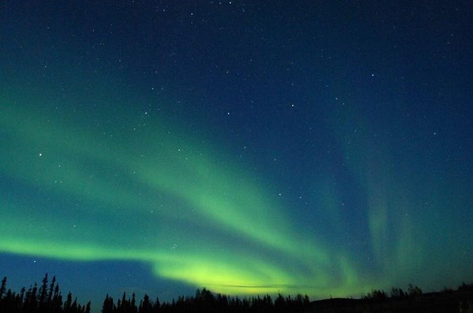 Northern Lights Experience and Cabin Dinner - Booking details that can save you trouble