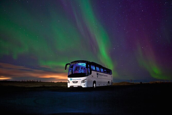 Northern Lights Guided Bus Tour from Reykjavik - Seeing the northern lights in real life