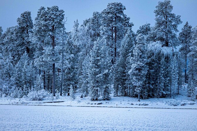 Northern Lights Holiday in Finland - Day five: backcountry skiing and a remote Aurora Camp