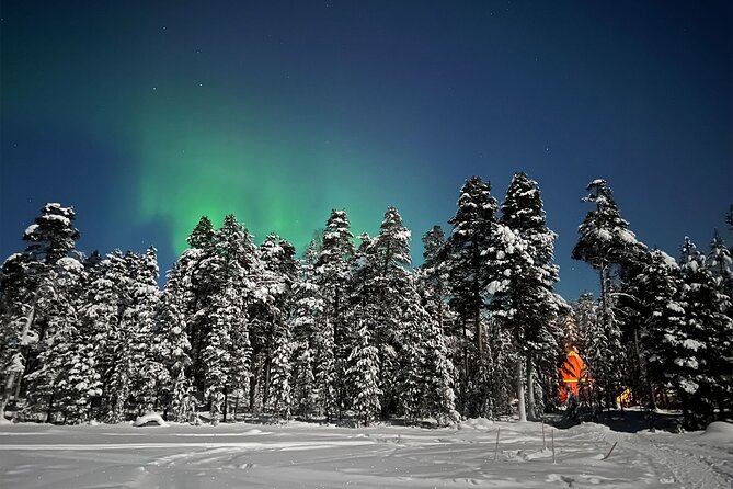 Northern Lights Holiday in Finland - Day one: arrive, settle in, and use the sauna