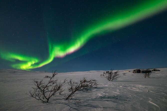 Northern Lights Hunt - Key points to know before you book