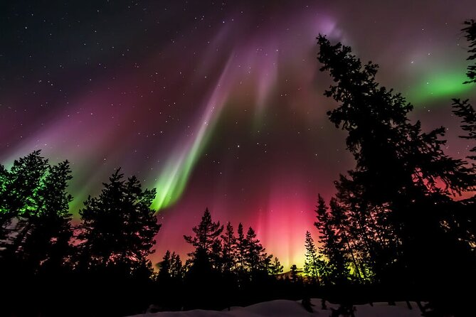 Northern Lights Hunt from Rovaniemi with Folk Tales and Snacks over Campfire - Finnish folk tales while the sky stays dark