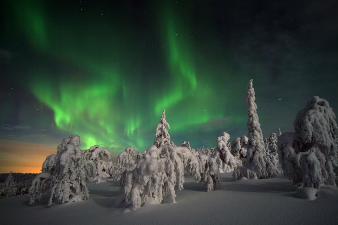 Northern Lights Hunt Including Snacks on Campfire from Levi - A northern night that begins in Levi