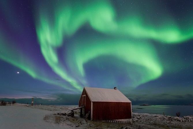 Northern Lights Hunt Including Snacks on Campfire from Rovaniemi - Booking, cancellation, and timing tips